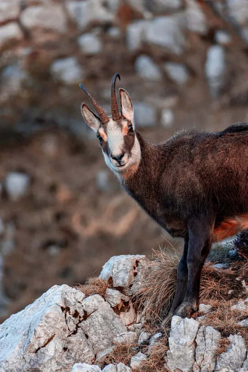 Weekend a Chamois: Borghi