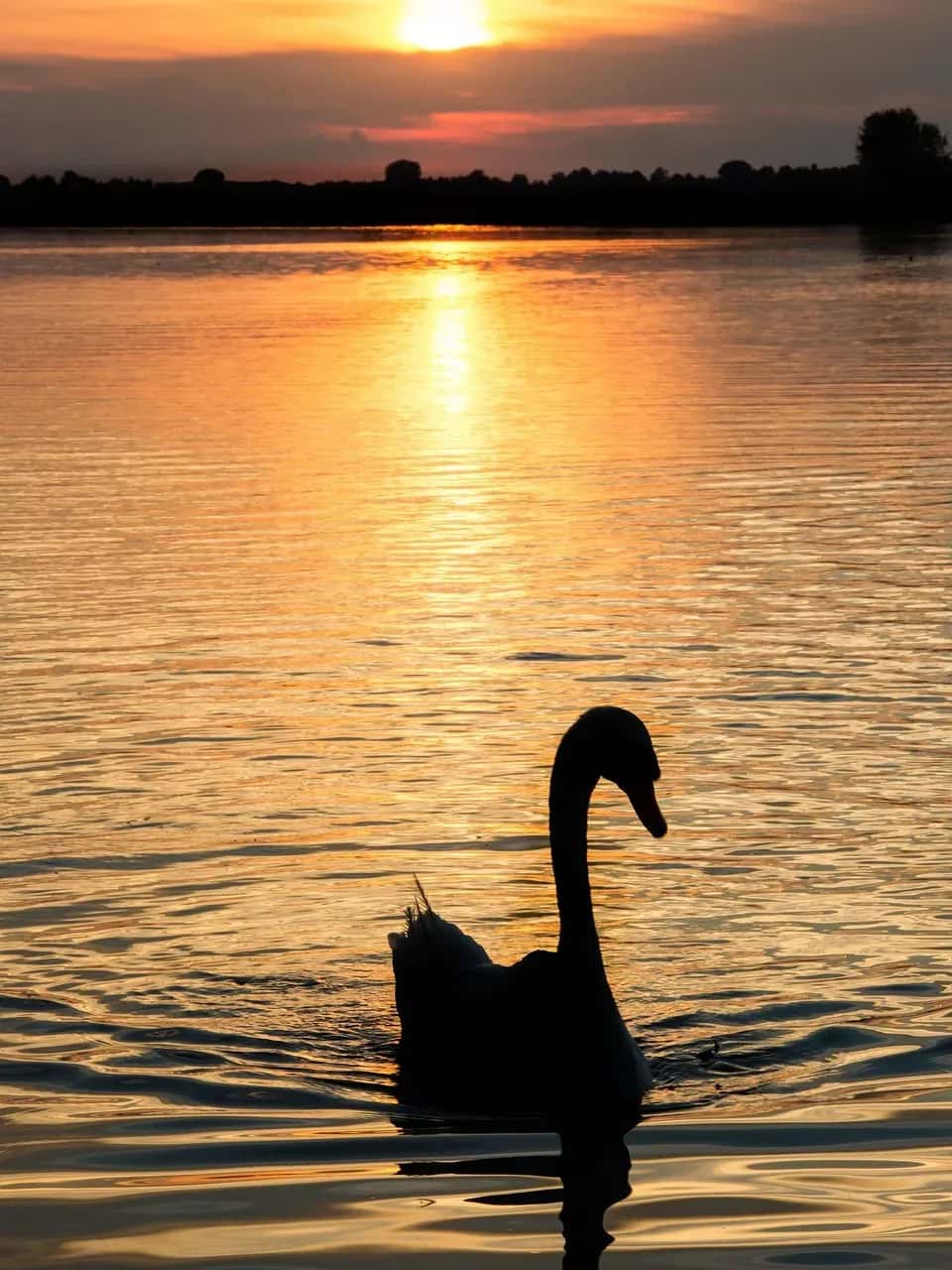 Weekend a Mantova