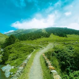 Trekking