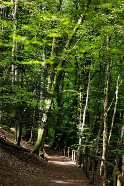 Weekend a Potenza: Trekking