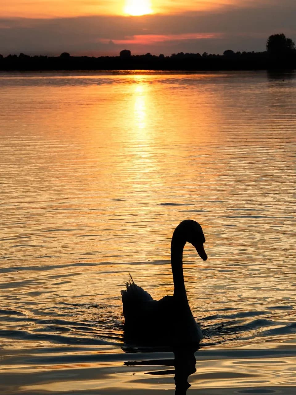 Weekend a Mantova