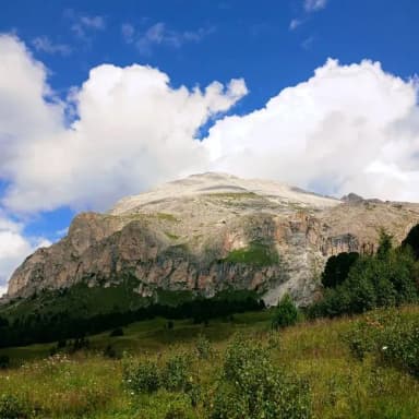 Trentino