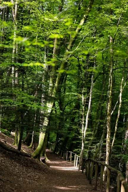 Weekend a Potenza: Trekking