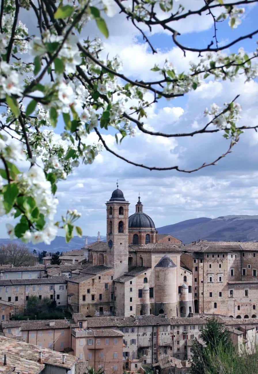 Slow-Paced Urbino: The Breath of the Renaissance in 3 Days