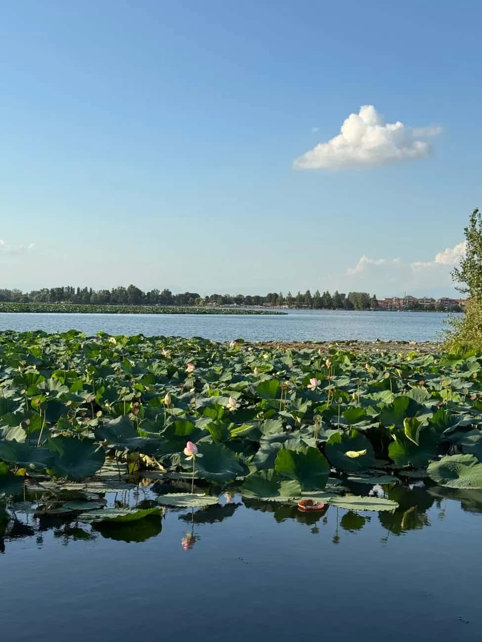 Weekend a Mantova