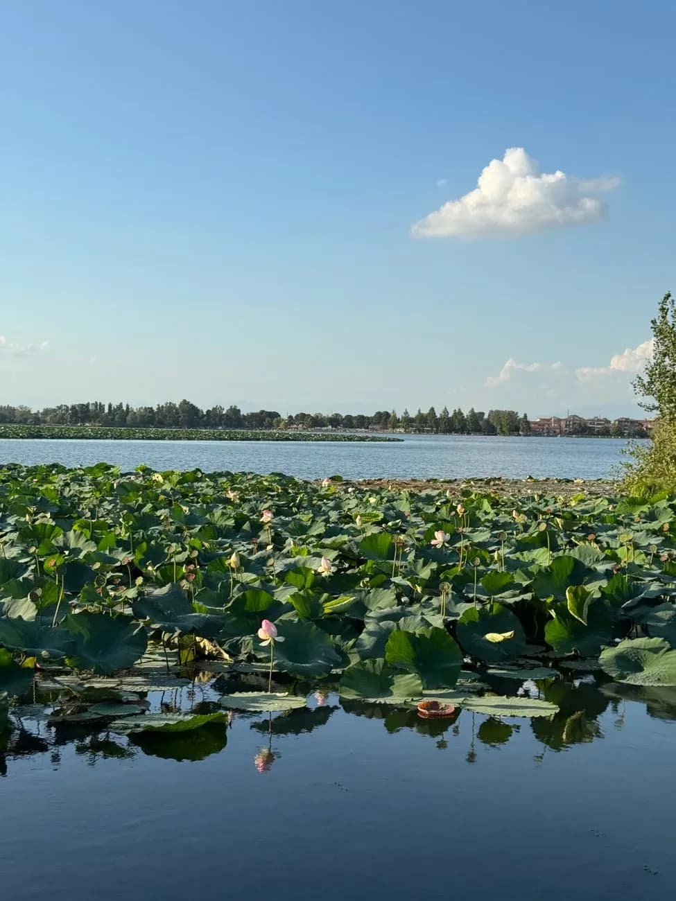 Weekend a Mantova